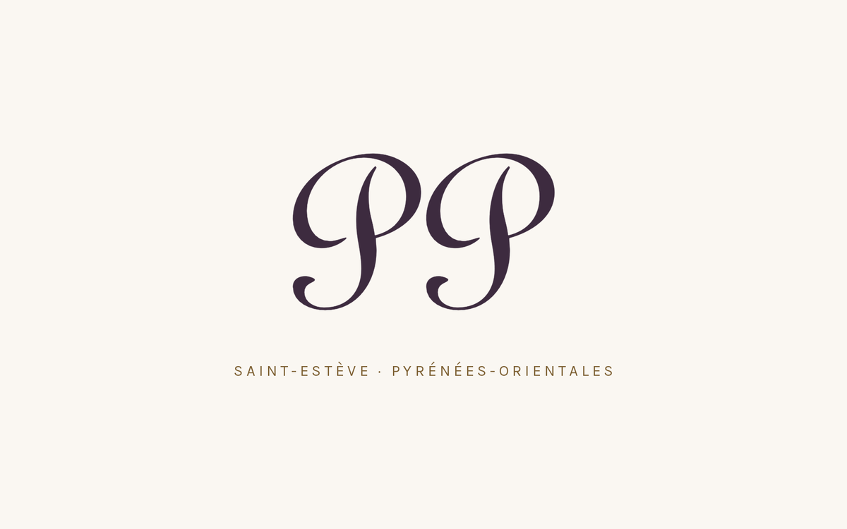 Bannière Patrice Panier