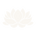 Logo lotus ivoire 512